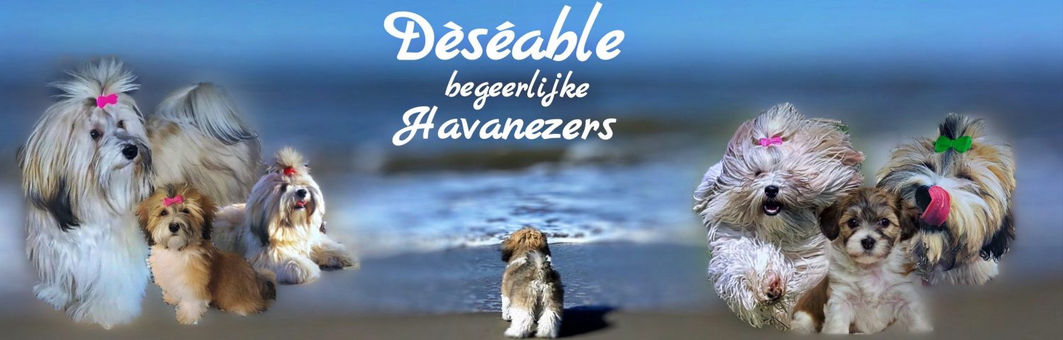 deseable